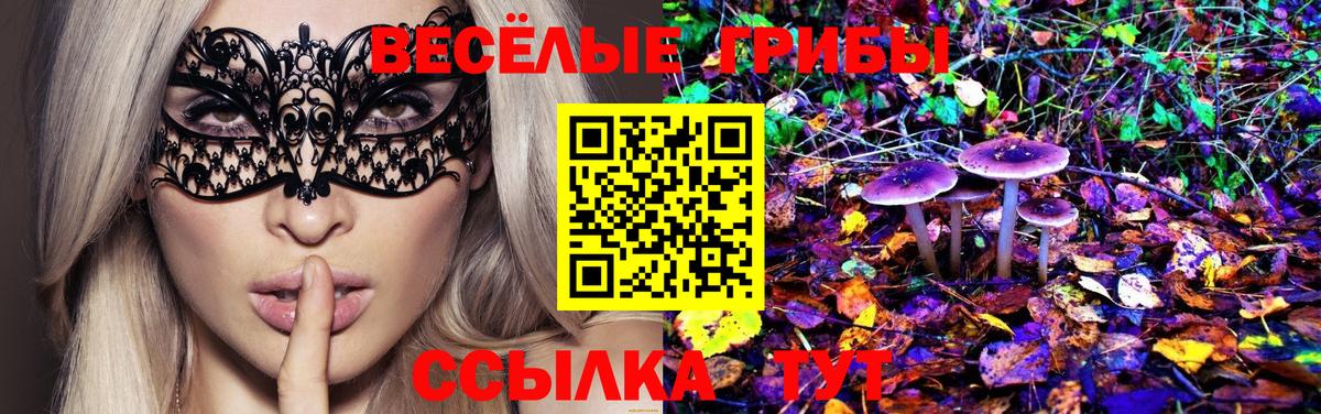 Новый Уренгой  дарнет шоп  Вход с VPN  Псилоцибиновые грибы мухоморы 